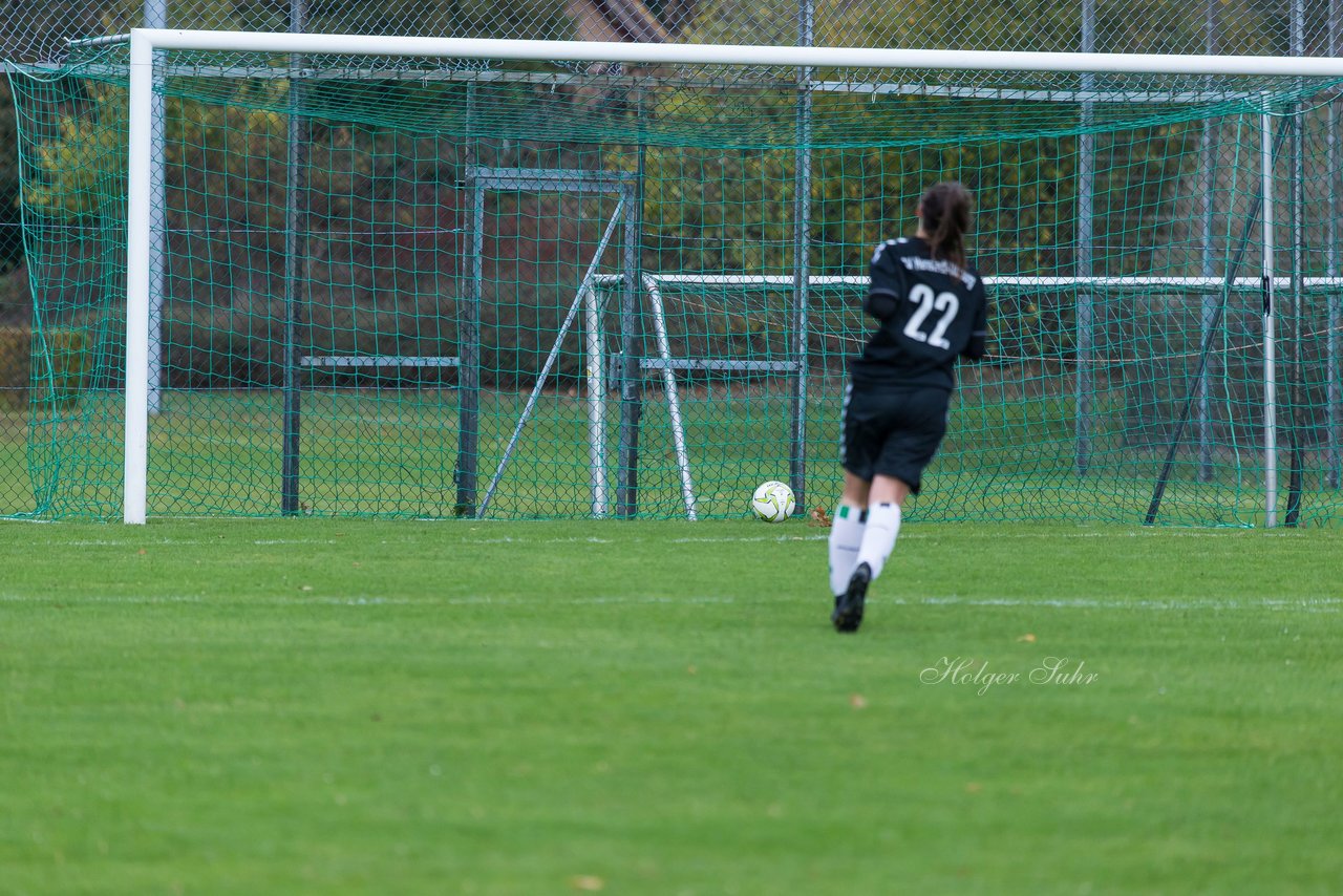 Bild 227 - B-Juniorinnen SV Henstedt Ulzburg - SG ONR : Ergebnis: 14:0